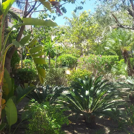 公寓 Duplex Vue Sur Et Pieds Dans L'eau De Pramousquier