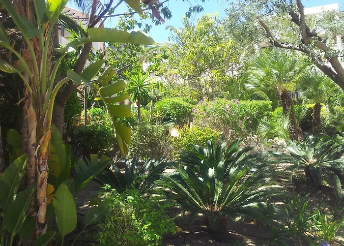 Apartman Duplex Vue Sur Et Pieds Dans L'eau De Pramousquier